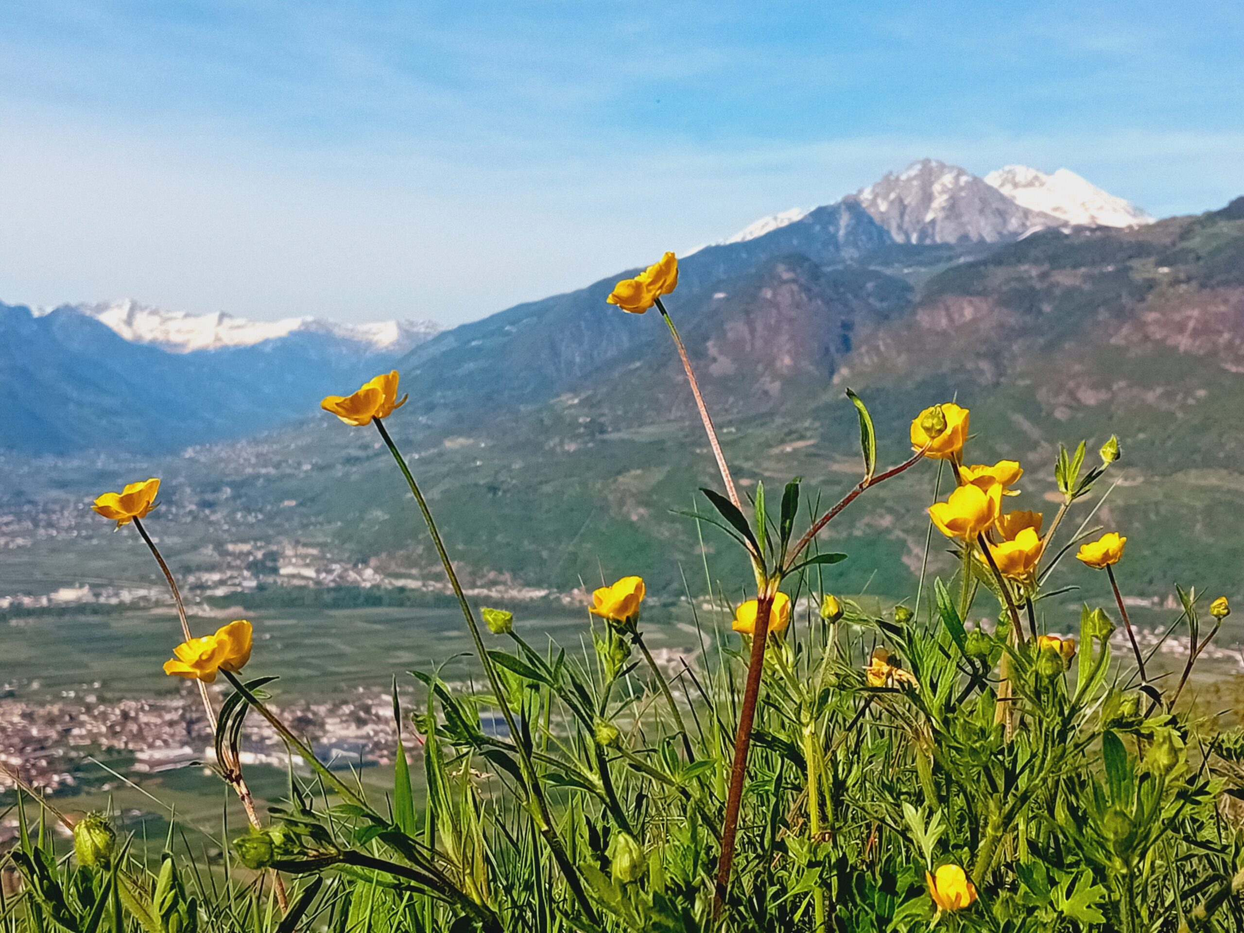 Ferienwohnung Passo Palade Ausblicke 4 Aussicht von Hippolyt