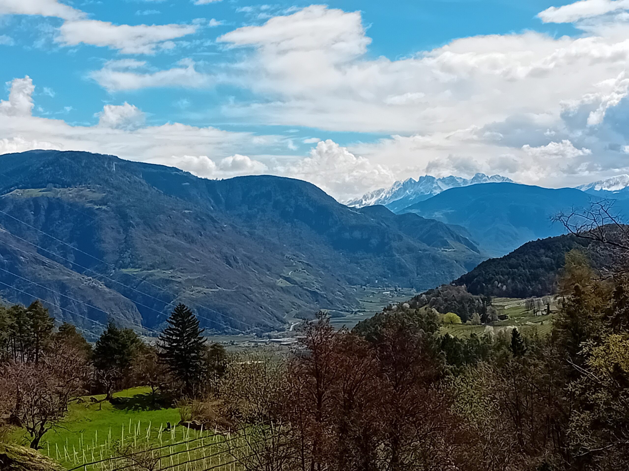 Fotos Ferienwohnung Südtirol Passo delle Palade Blick vom Balkon Blick vom Balkon