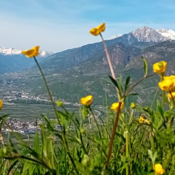 Aussicht von Hippolyt