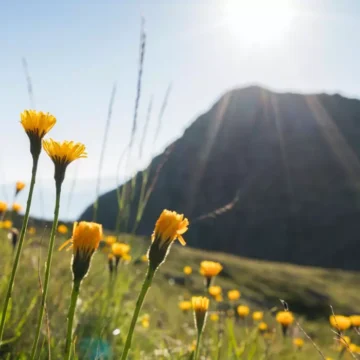 Aussicht von Hippolyt